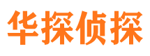 蒙山侦探公司